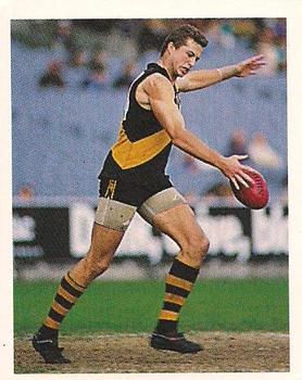 1993 Select AFL Stickers #198 Jeff Hogg Front